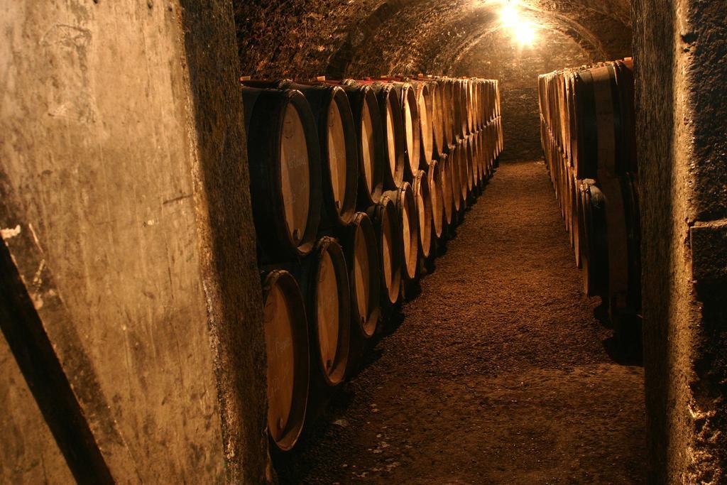 Maison D'Hotes Chandon De Briailles Savigny les Beaune Bagian luar foto